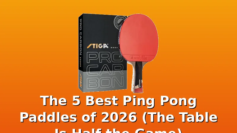 The 5 Best Ping Pong Paddles of 2026 (The Table Is Half the Game) - PingPongTableGuide review with measurements and honest opinion